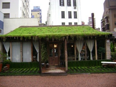 telhado verde2