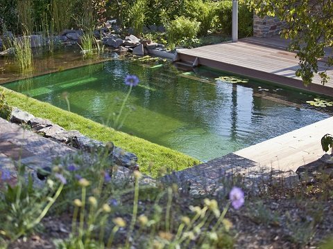 materiais sustentaveis - piscina natural - biotop