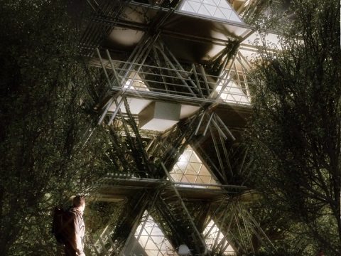 construção com bambu - hotel de bambu 7