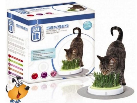 grass garden gatos - mb