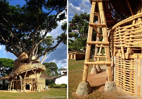 construção com bambu - Bamboo Treehouse - Jaime Pena