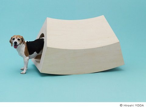 casinha para cães - interactive dog house - mvrdv - architecture for dogs