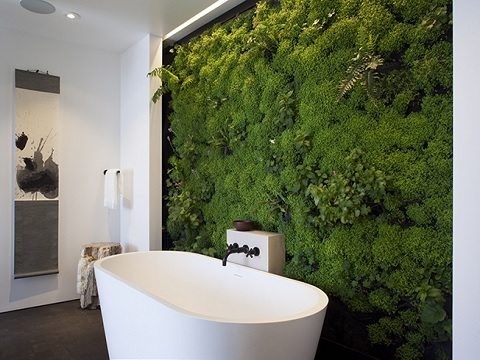 jardim vertical no banheiro