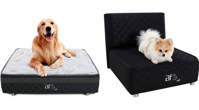 cama box para cachorro