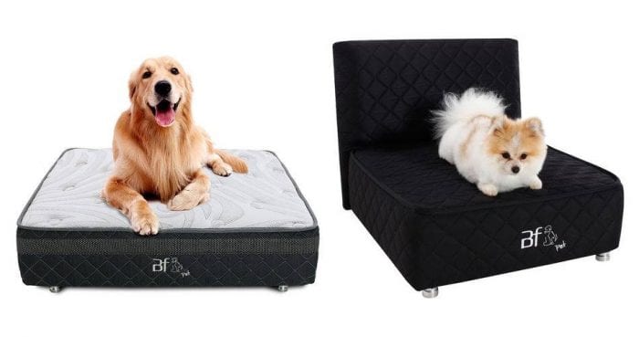 cama box para cachorro