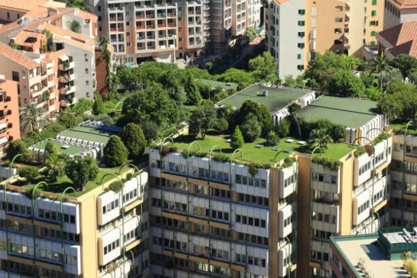 prédio com terraço jardim